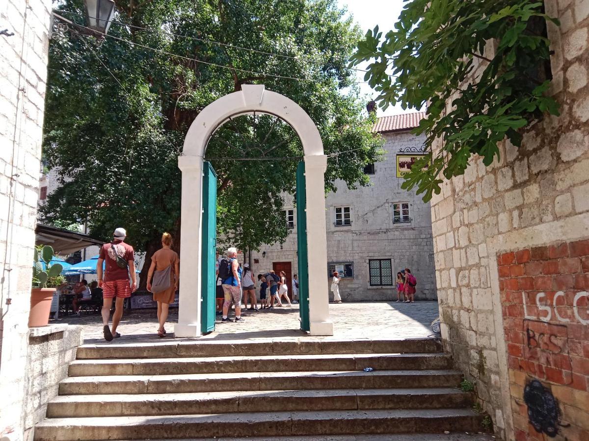 Centar Starog Grada Homestay